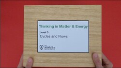 Thinking in Matter & Energy - Level 5 - Cycles and Flows Instructional Video