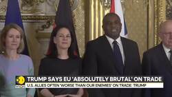 US President Trump unveils sweeping reciprocal tariff plan News Clip