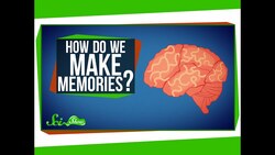 How Do You Make Memories? Instructional Video