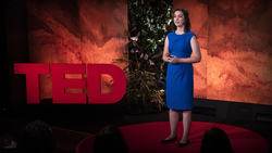 TED: 4 ways to design a disability-friendly future | Meghan Hussey Instructional Video