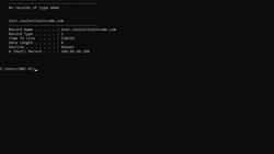 Practical Cyber Hacking Skills for Beginners - Working with DNS Commands Instructional Video