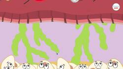 Lymphatic System Explained In Simple Words Instructional Video