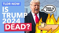 Could Trump Ever Run Again: Lawsuits, Taxes and Documents Instructional Video