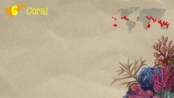 Los 12 animales más curiosos Instructional Video