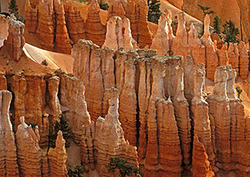 Limestone Instructional Video