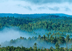 Transpiración Instructional Video