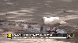 Spain hits record hottest May day News Clip