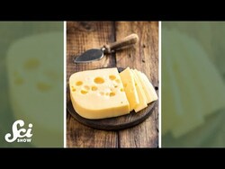 Why does Swiss cheese have holes? #shorts #science #SciShow Instructional Video