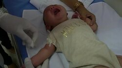 Brazilian mothers of children affected by Zika virus visit UK to raise awareness Stock Footage