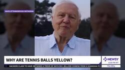 Why Are Tennis Balls Yellow? News Clip