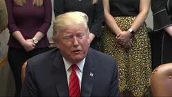 Trump says U.S. doing very well with Turkey Instructional Video