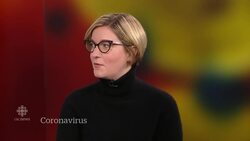 Should Canadians be worried about the coronavirus? News Clip