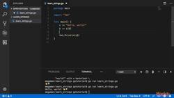 Learn Go in 3 Hours - Strings, Runes, and Arrays Instructional Video