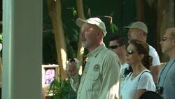 Why These Three Species of Great Ape are in Danger of Being Lost Forever Instructional Video