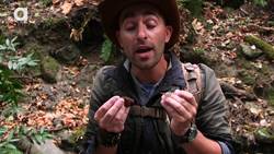 Venom vs Poison! Instructional Video