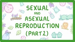 GCSE Biology - Pros and Cons of Sexual and Asexual Reproduction (Part 2) #72 Instructional Video
