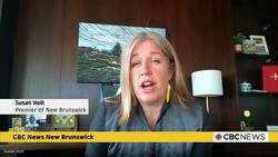 New Brunswick to launch scientific investigation into a mystery brain illness News Clip