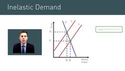 Understanding Price Elasticity of Demand Instructional Video