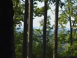 Adaptaciones: adaptación por la competencia Instructional Video