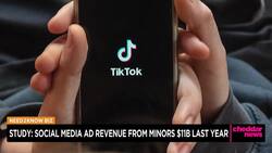 Social Media Ad Revenue From Minors $11B Last Year News Clip