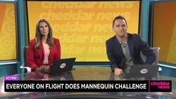 In Case You Missed It: Peacock Returns to Zoo After Bronx Jaunt News Clip