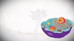 HST-AP - Anatomy & Physiology of the Human Cell Instructional Video