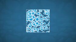 High Five Facts - Icebergs Instructional Video