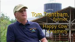 Innovating Dairy: The Happy Cow Creamery Story Instructional Video