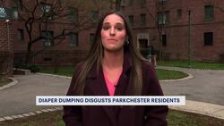 Tenants: Dirty adult diapers being thrown out of Parkchester building's window News Clip