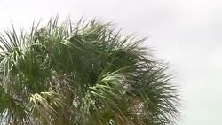 Mississippi prepares for Tropical Storm Gordon Instructional Video