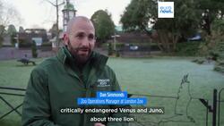 London Zoo's residents are counted in annual stocktake News Clip