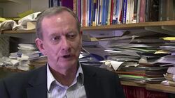 CLEAN : Bailout over but suffering goes on for News Clip