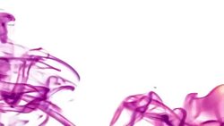 Abstract smoke on a white background. Stock Footage