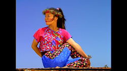 EASY PLOUGH Instructional Video