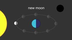 Phases of the Moon Instructional Video