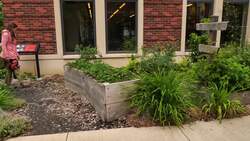 How to Design a Public Permaculture Food Forest Instructional Video