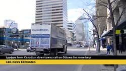 Edmonton Downtown Business Association looking for federal help Instructional Video