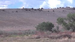 CLEAN : AFPTV BEST OF 2021 // Consecutive droughts put Colorado ranchers on the front line of climate change News Clip