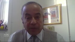 Montreal's Haitian community distressed by violence in Haiti News Clip