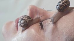 macro video shot of of snails on a female face. Snail Slime rejuvenates the skin Stock Footage