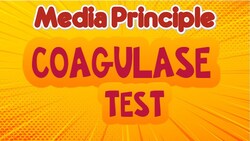 Principle of Coagulase Test Instructional Video