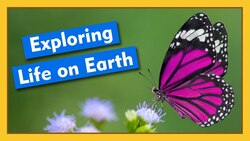 Exploring Life on Earth | Compilation Instructional Video