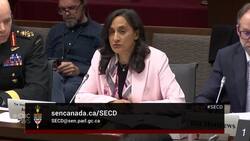 Defence minister says she's ‘extremely concerned' by the situation in Sudan News Clip