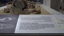 CLEAN : National Museum of Egyptian Civilisation opens fully to the public News Clip