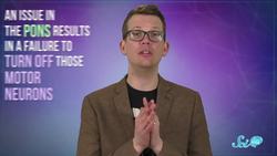 What If Your Body Didn’t Paralyze You During Sleep? Instructional Video