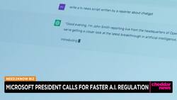 Microsoft President Calls for More Regulation of Artificial Intelligence News Clip
