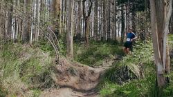 Man jumping participating in trail race Stock Footage