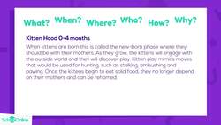 KS2 Primary English Age 9-13 - Reading: Finding Information - Explained Instructional Video