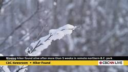 Missing hiker found alive after more than 5 weeks in remote northern B.C. park News Clip