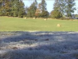 Fall: Video Review Instructional Video